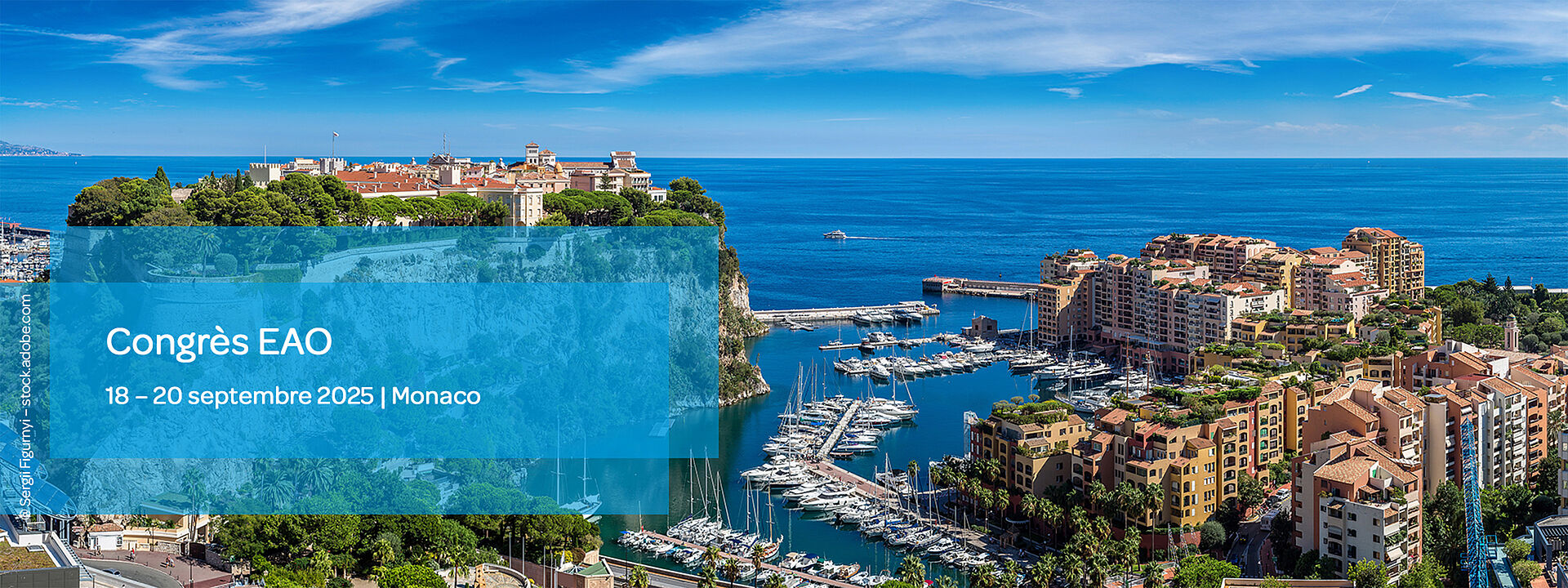 Photo panoramique de Monaco avec une large vue sur la mer à l'arrière-plan et le port, les montagnes et la ville au premier plan.